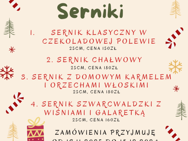 Oferta Świąteczna - 19_2.png